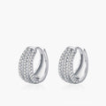 FrostedGleam Earrings