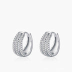 FrostedGleam Earrings