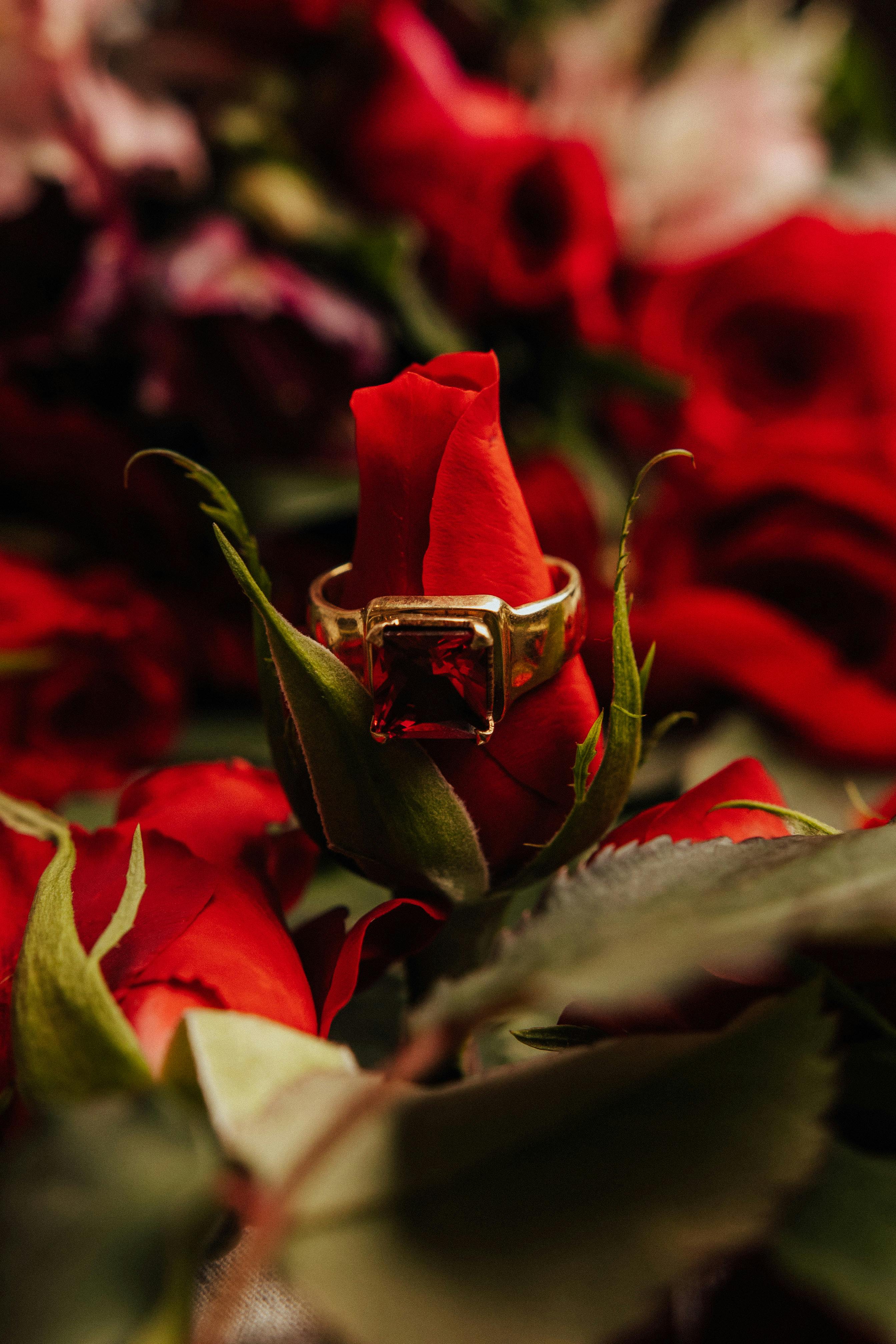 Elegant red garnet ring for gifting, with polished sterling silver band
